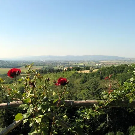 Castel D'arno