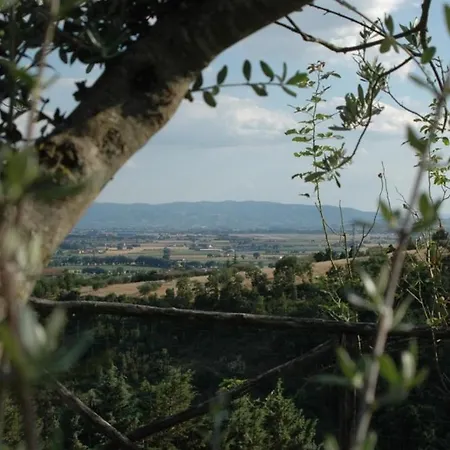 Castel D'arno Kır Evi *