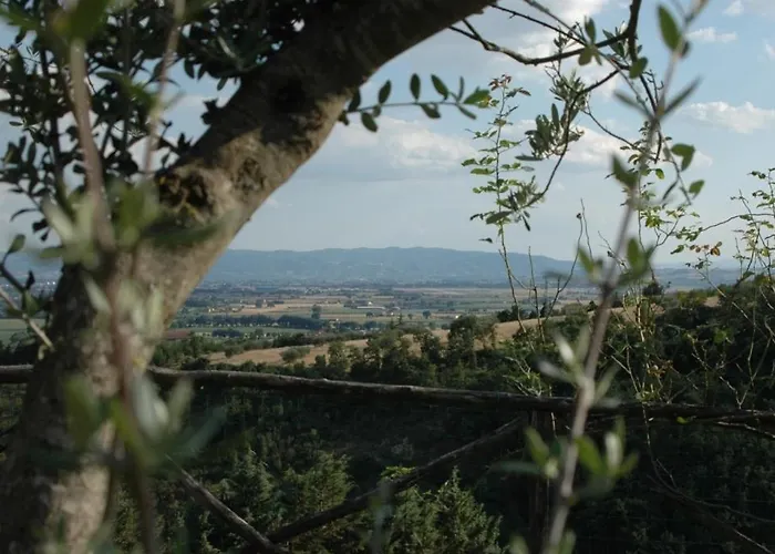 Castel D'arno Landsted *