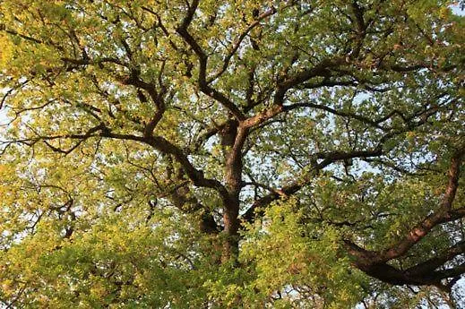 Country house Castel D'arno Perugia